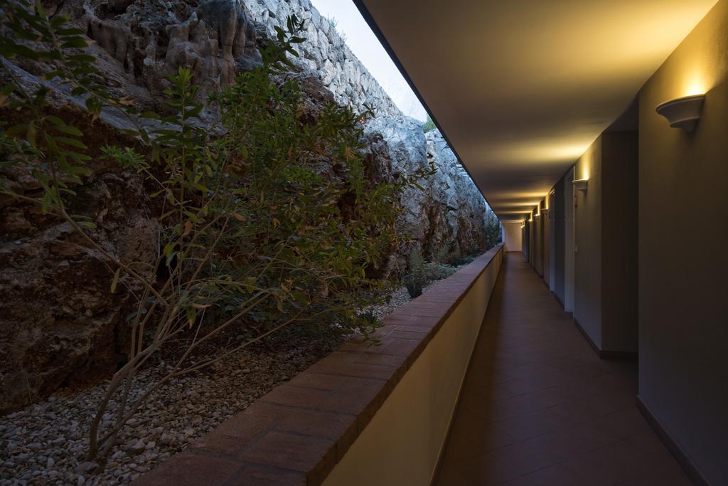 Collina Degli Ulivi