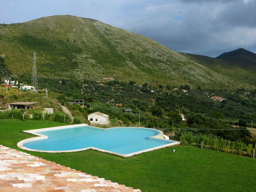 Collina Degli Ulivi